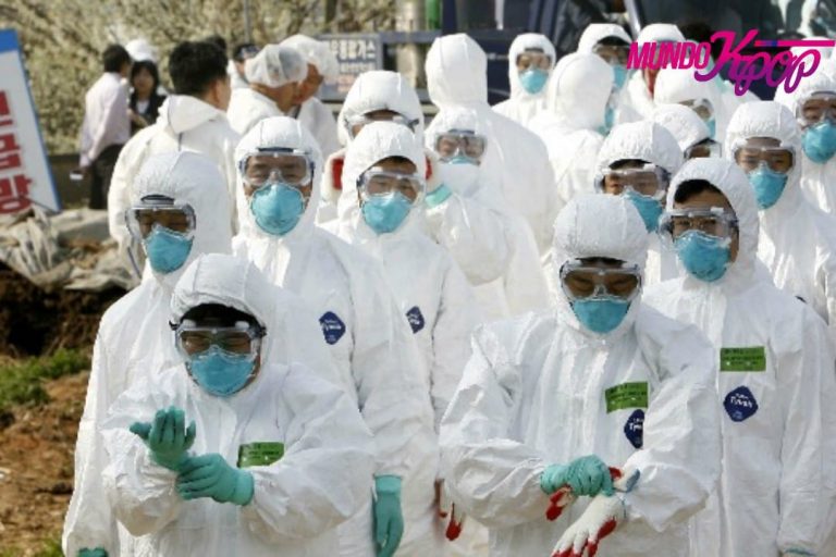 Se confirma casos de Gripe Aviar en Corea del Sur